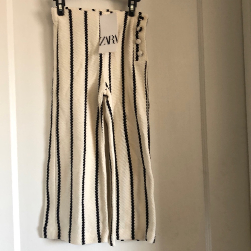 Zara Pants